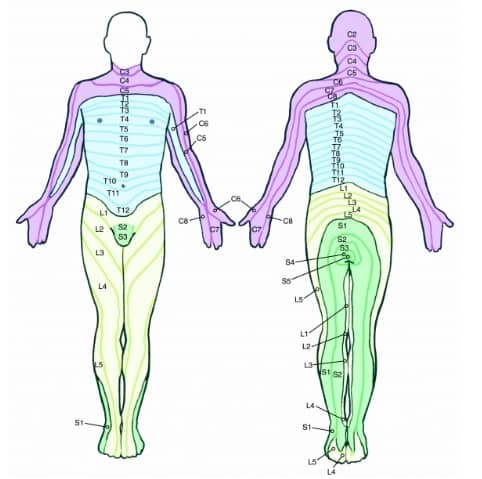 physio adelaide, adelaide cbd physiotherapy physiotherapy, adelaide cbd physio, physio adelaide cbd, adelaide cbd physiotherapy, physio near me, physio appt today, physio open now