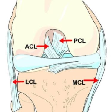 Soccer injuries, injuries in soccer, physio, physiotherapist, ligament sprains, ACL tear, hamstring injuries, hamstring injury, calf injuries, calf injury
